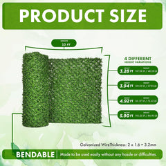 Grass Chain link Fence