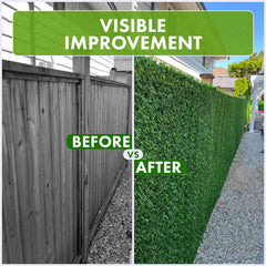 Grass Chain link Fence