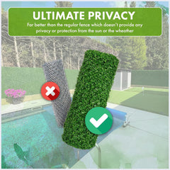 Grass Chain link Fence