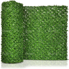 Grass Chain link Fence