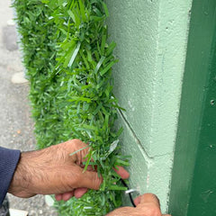 Grass Chain link Fence